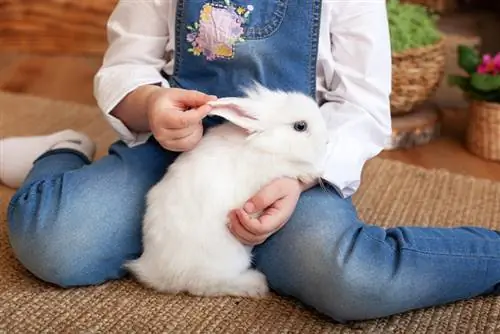 Mädchen, das Kaninchen kuschelt