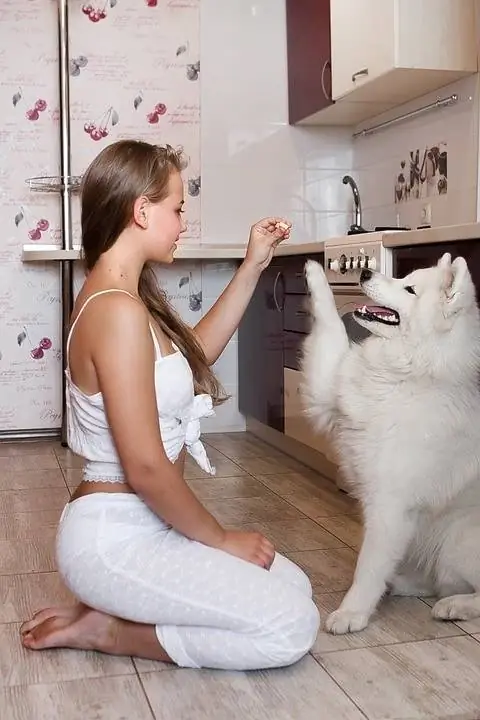 meisje geeft traktaties aan haar hond