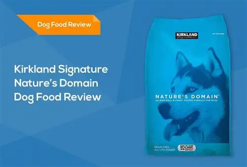 Kirkland Signature Nature's Domain Dog Food Review 2023: Retiros del mercado, Pros & Contras