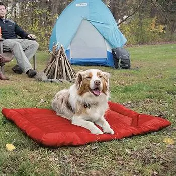 10 mejores camas para acampar para perros en 2023 – Reseñas & Las mejores selecciones