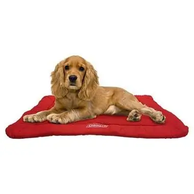 Coleman CL-01200 Lit de voyage enroulable pour animaux de compagnie