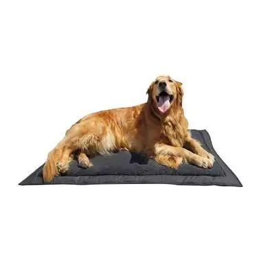 Lightspeed Outdoors 26852-CU Self Inflating Travel Dog Bed