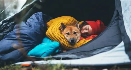 djevojka grli pas koji se odmara zajedno u kampu