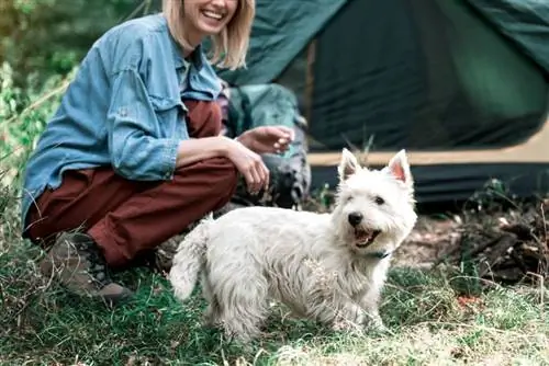 menina se divertindo com cachorro na floresta