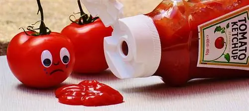 chupa ya ketchup ya nyanya