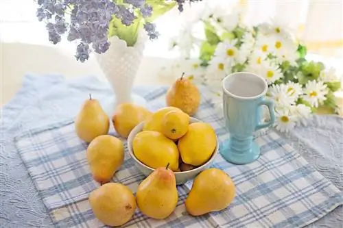 Pears thiab Lemons