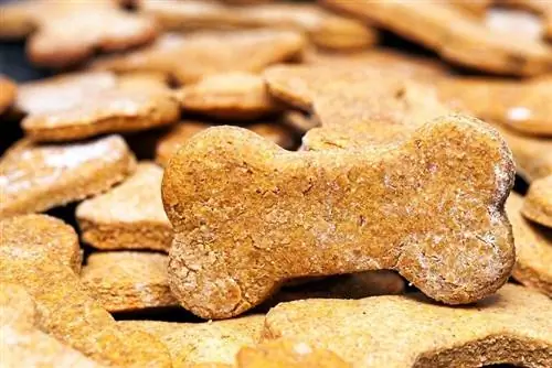 10 Homemade Peanut Butter Dog Treat Recipe (Inaprubahan ng Vet)