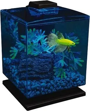 Kit acquario GloFish con cappuccio