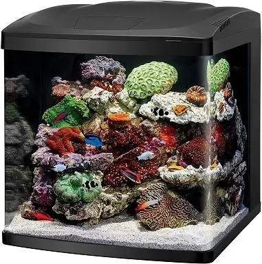 Coralife LED Biocube akvariumo LED