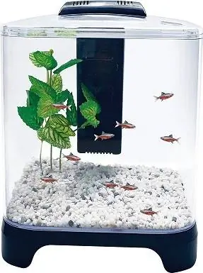 Penn Plax Betta Fish Tank Aquarium Kit na may LED