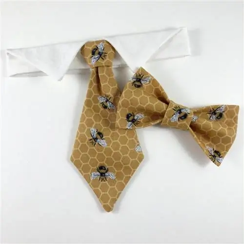 Bumblebee cat necktie Etsy