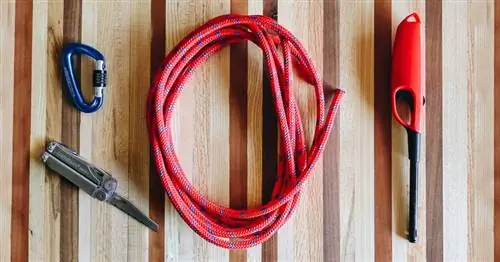 Leash Dog Climbing Rope DIY- Dapur yang jujur