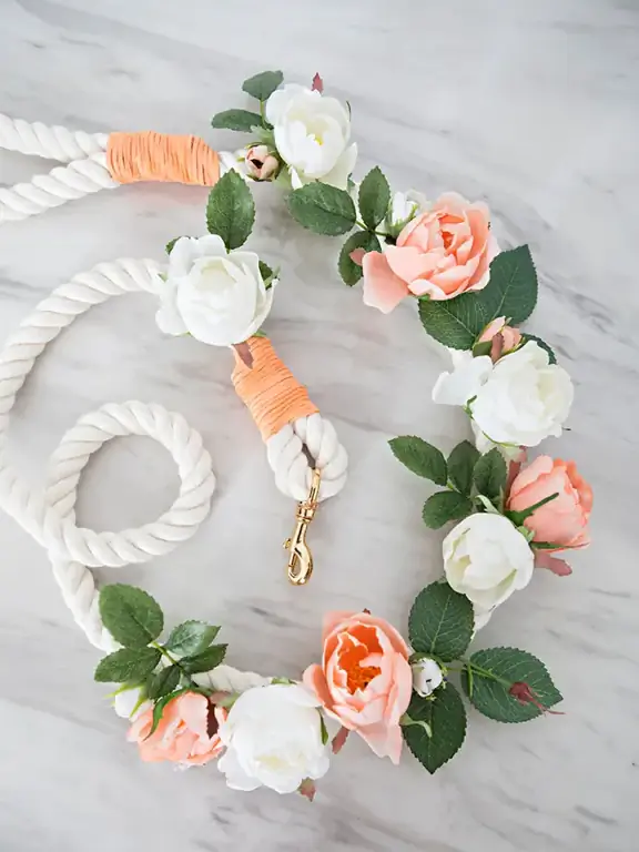 Wedding Dog Leash DIY- Sesuatu yang pirus