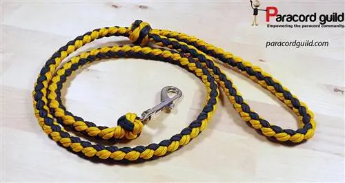 Lazy Man's Dog Leash – Paracord Guild