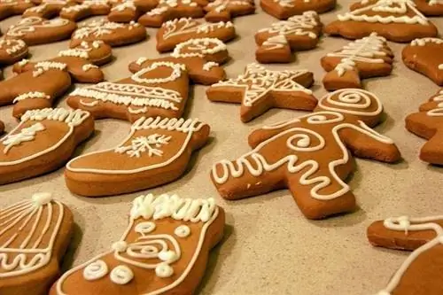 Gingerbread cookies