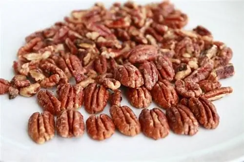 Inihaw na pecans