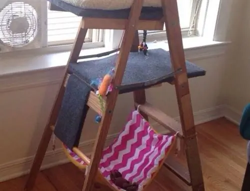 DIY Cat Tree fra Old Ladder- Lucky Ferals