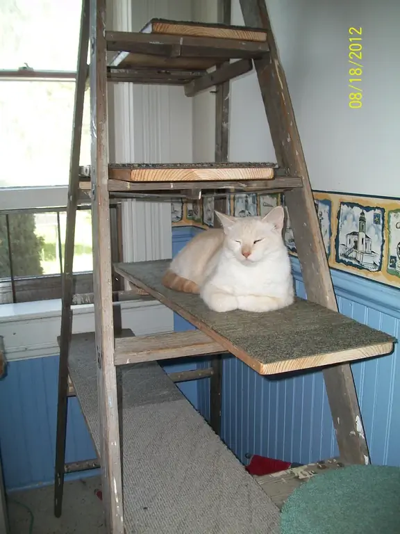 Кайра иштетилген Ladder Cat Tree- Instructables