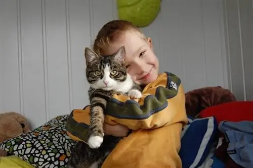 niño abrazando a su gato