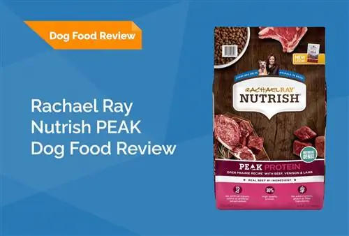 Rachael Ray Nutrish Peak нохойн хоолны тойм 2023: Эргэн сануулах, давуу тал & Сул тал