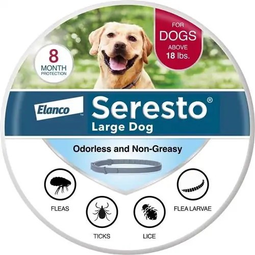 Иттер үчүн Seresto Flea & Tick Collar