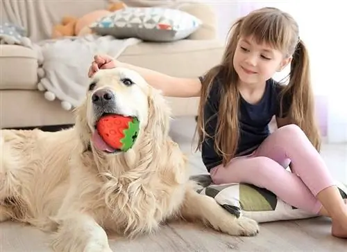 giovane ragazza che gioca con il suo cane da dentizione