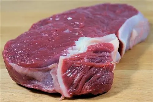 I gatti possono mangiare carne di maiale cruda? Valori nutrizionali & Guida alla sicurezza