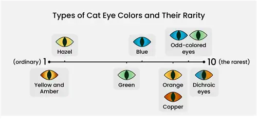 carta de colors d'ulls de gat