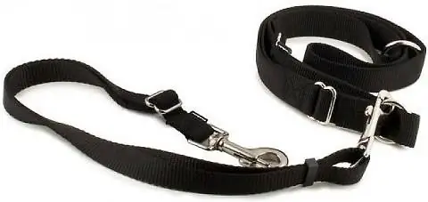 PetSafe Nylon Hands-Free Running Dog Leash