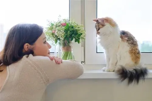 donna che guarda e parla con il suo gatto