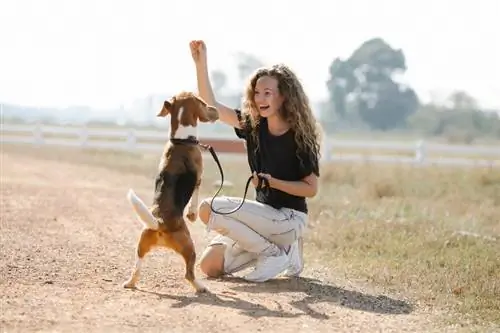 gelukkige vrou wat lekkerny aan haar hond gee