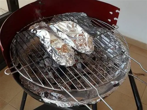 Kumain ng Aluminum Foil ang Aso Ko! Narito ang Dapat Gawin (Mga Sagot ng Vet)