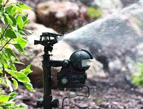 Orbit 62100 Yard Enforcer Motion-Activated sprinkler faktiskā izmantošana