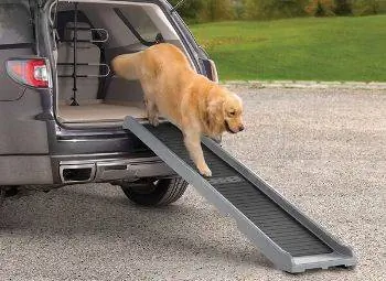 2023'te SUV'ler için En İyi 9 Köpek Rampası – İncelemeler & En Çok Talep