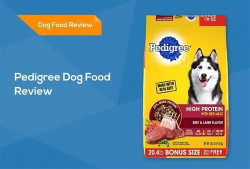 Pedigree Dog Food Review 2023: Rückrufe, Vor- und Nachteile