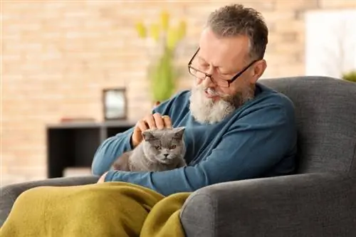 Kako mačka voli da je drže? Savjeti odobreni od strane veterinara