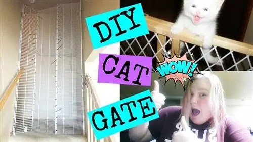 DIY_Cat_Gate