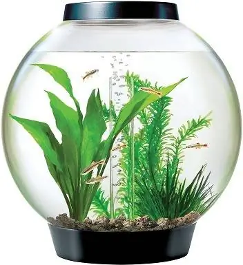 Aquarium LED biOrb CLASSIQUE