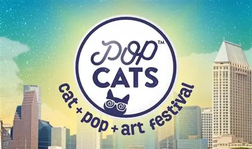 PopCats Chicago