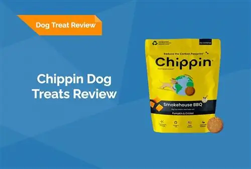 Chippin Dog Treats Review