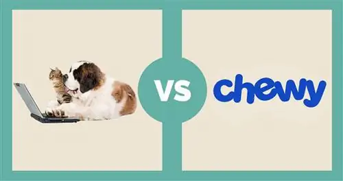 አማዞን vs chewy