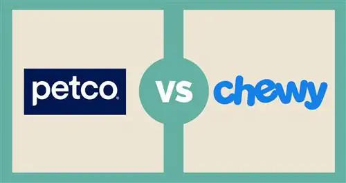 Petco vs Chewy