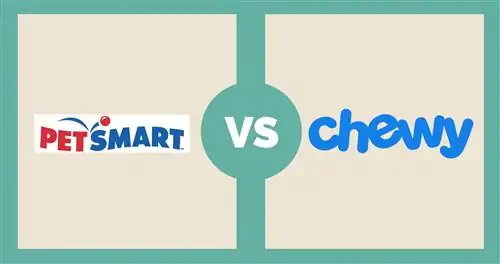 Petsmart vs Chewy