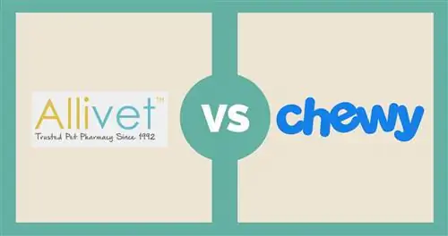 አሊቬት vs Chewy