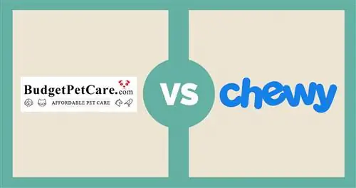 BudgetPetCare vs Chewy