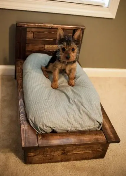 DIY Pallet Dog Bed