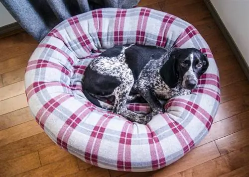 Cama calmante para mascotas de bricolaje