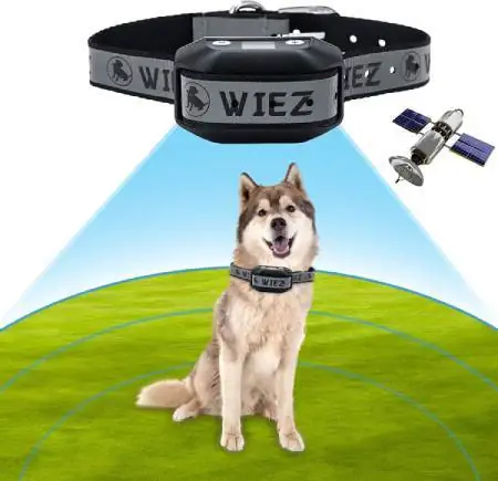 Wiez GPS Wireless Mbwa Fence