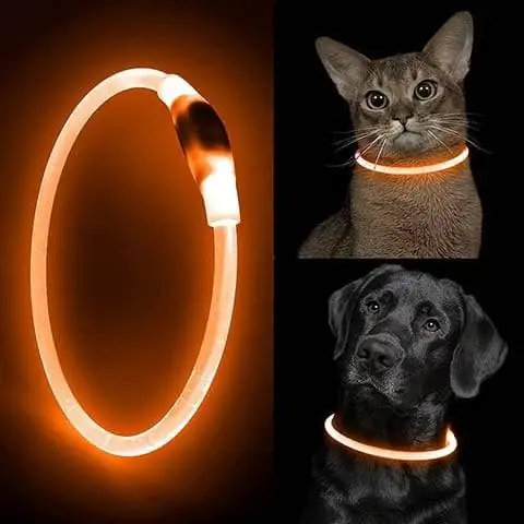 YFBrite LED Cat Collar