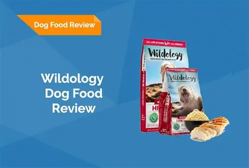 Wildology Dog Food Review 2023: Tilbagekaldelser, fordele & Ulemper